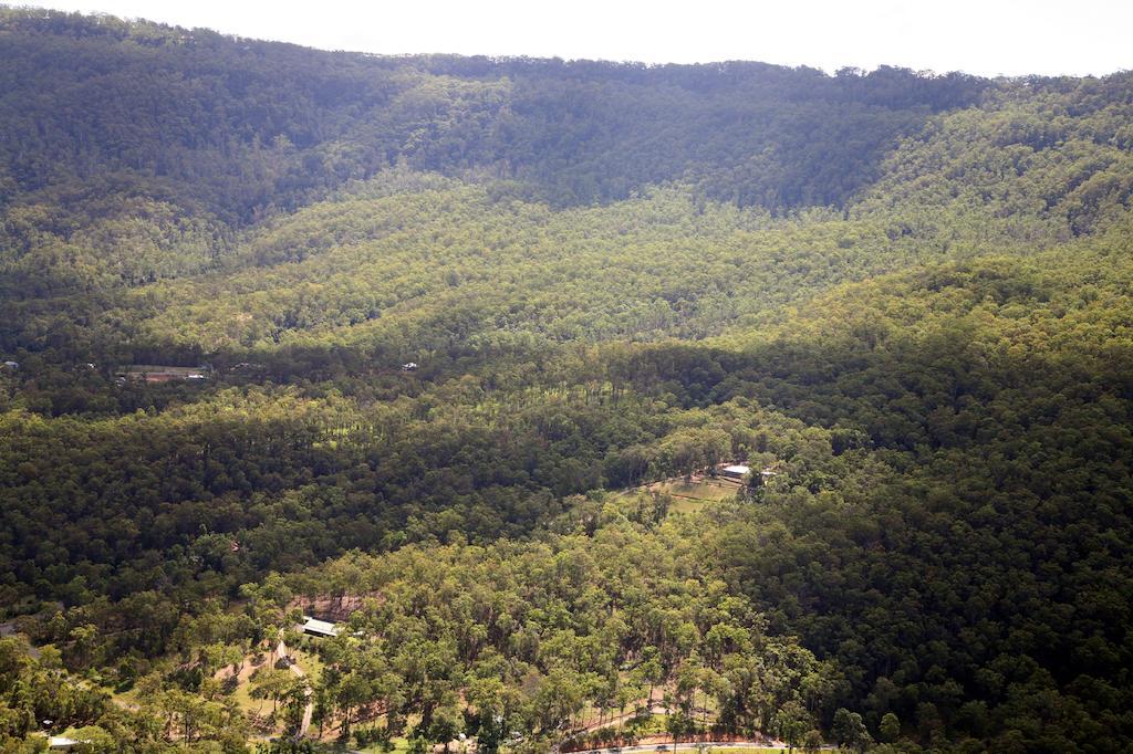 Wallaby Ridge Retreat Mount Tamborine Bagian luar foto