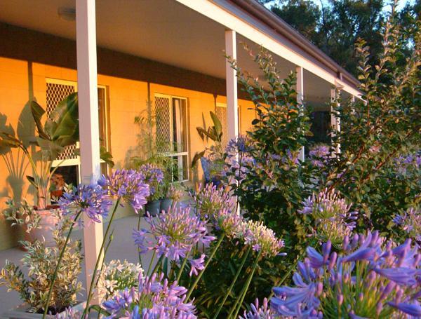 Wallaby Ridge Retreat Mount Tamborine Bagian luar foto
