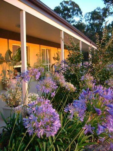 Wallaby Ridge Retreat Mount Tamborine Bagian luar foto