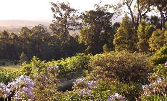 Wallaby Ridge Retreat Mount Tamborine Bagian luar foto