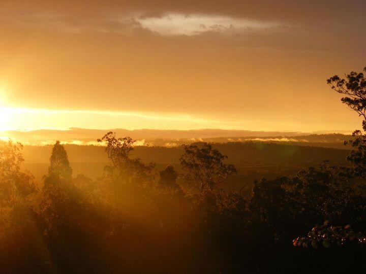 Wallaby Ridge Retreat Mount Tamborine Bagian luar foto